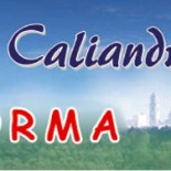 maria-caliandro-informa