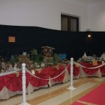 PRESEPE-2010-1 (17)