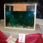 PRESEPE-2010-1 (32)