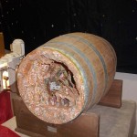 PRESEPE-2010-1 (6)