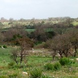 l'acquer a do vocchel di Citrignen