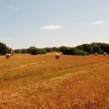 contrada-deserto