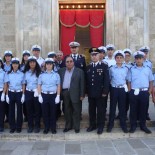 mini-vigili-2011-d