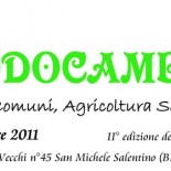 TODOCAMBIA_lok2011-b