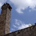 latiano 6