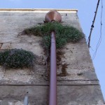 mesagne 6