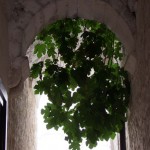 ostuni 22