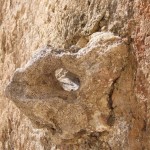 tuturano 9