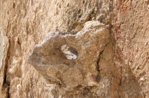 La Provincia di Brindisi vista da Edmondo Bellanova