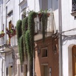 villa castelli 4