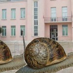 Quando le lumache ritornano (di Nando De Vitis)