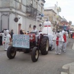 carnevale2012 (11)