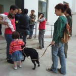 elezioni2012 (21)