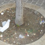 piazza-sporca3