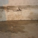 piazza-sporca6