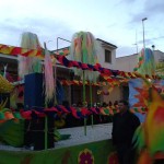 carnevale-san-michele-salentino-2014 (19)