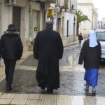 palme2014 (8)