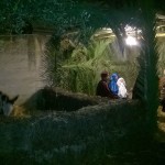 presepe-vivente-2015 (2)