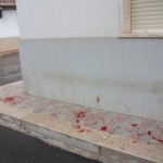 dscf0348