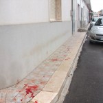 dscf0351