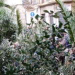 domenica-palme-2018-1